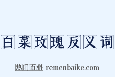 白菜玫瑰反义词是什么意思的图片